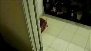 Unexpected caught stepsis